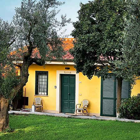 La Vista Agriturismo Boutique Ariccia Bagian luar foto