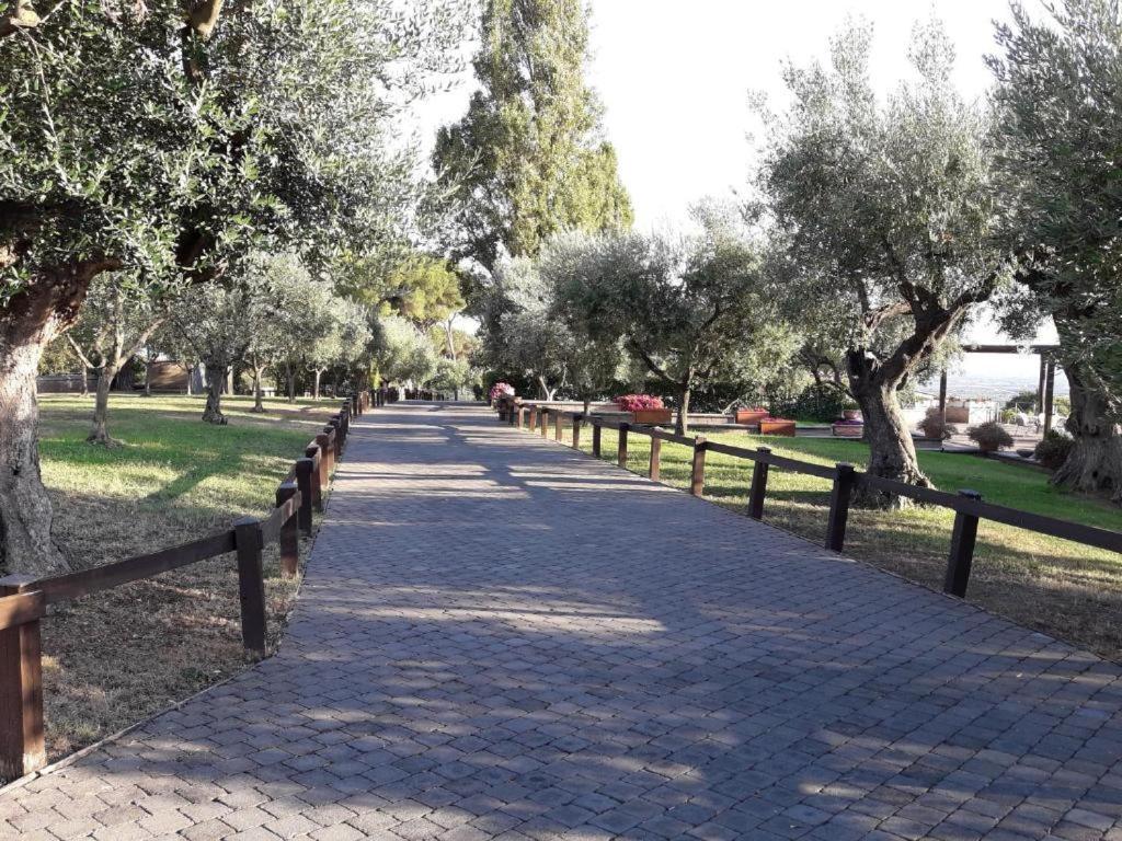 La Vista Agriturismo Boutique Ariccia Bagian luar foto