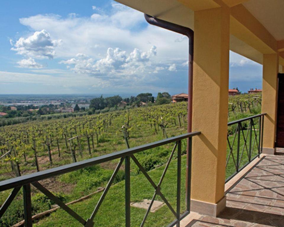 La Vista Agriturismo Boutique Ariccia Bagian luar foto