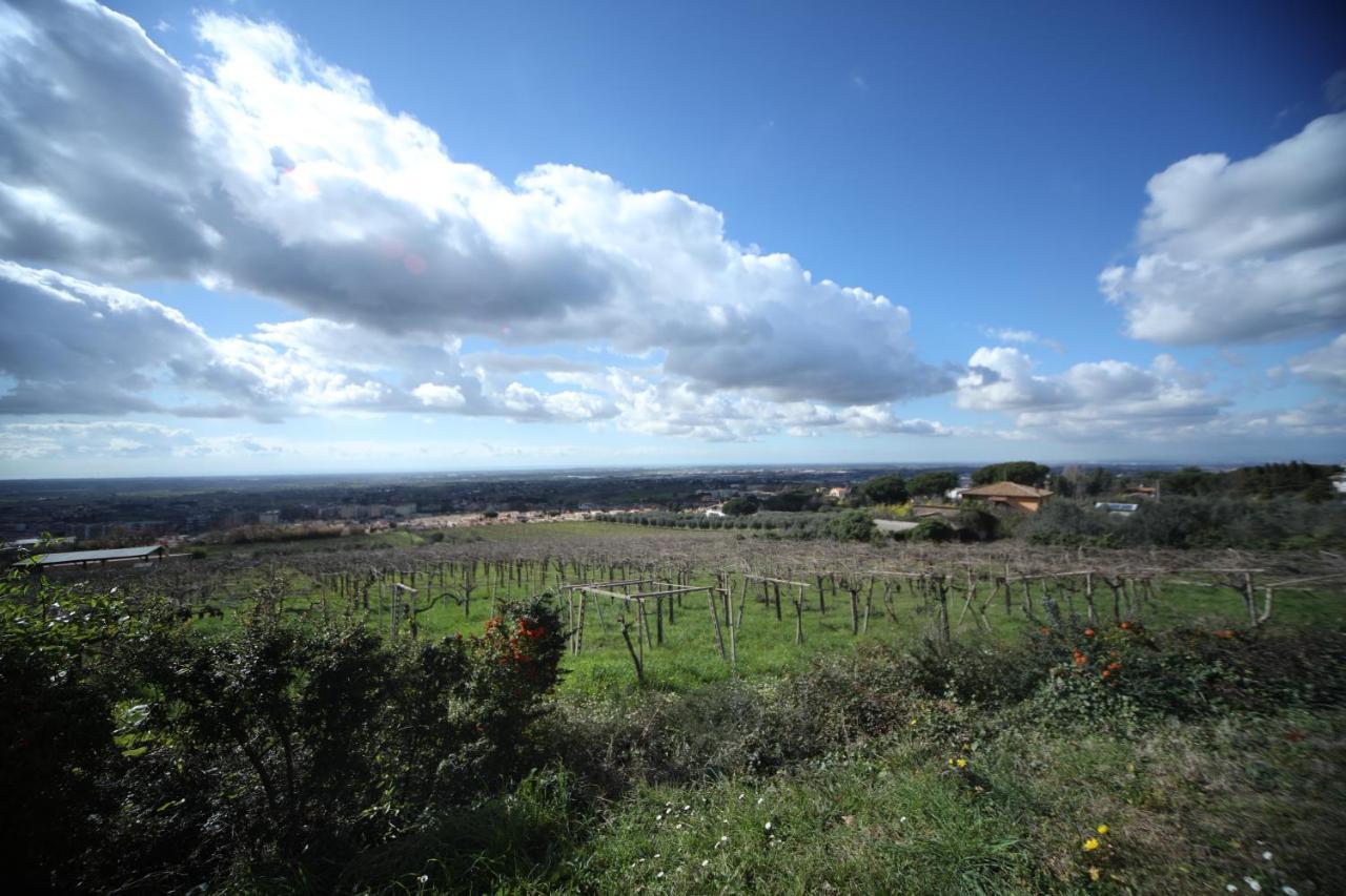 La Vista Agriturismo Boutique Ariccia Bagian luar foto