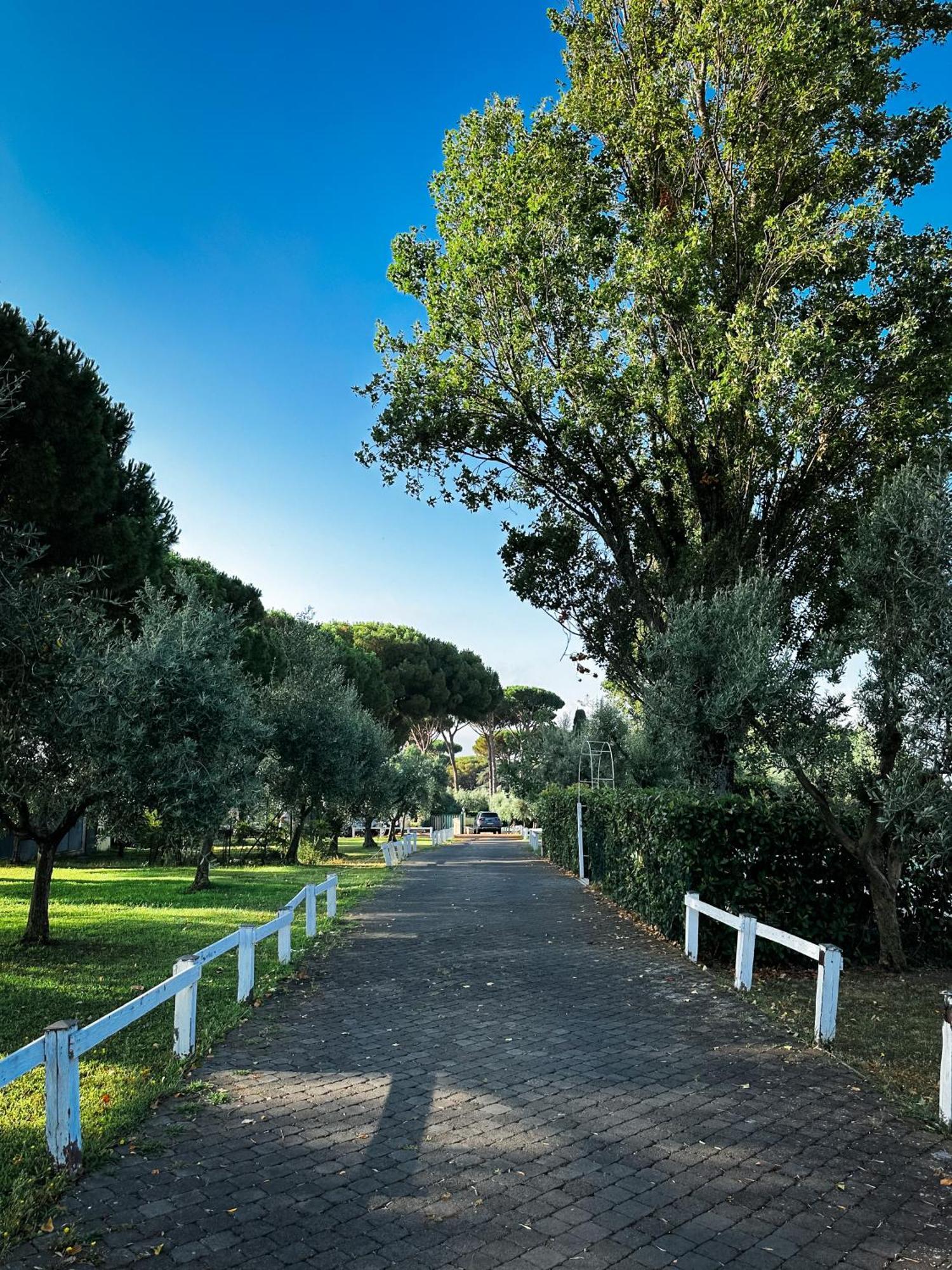 La Vista Agriturismo Boutique Ariccia Bagian luar foto